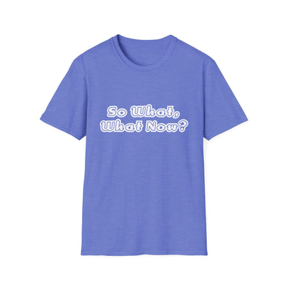 So What, What Now? Tee